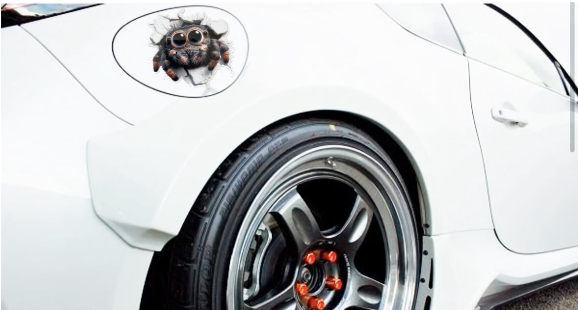 Spider 3D Wall Cracker Unique  - огляд і ціна Laptop Unique Accessories